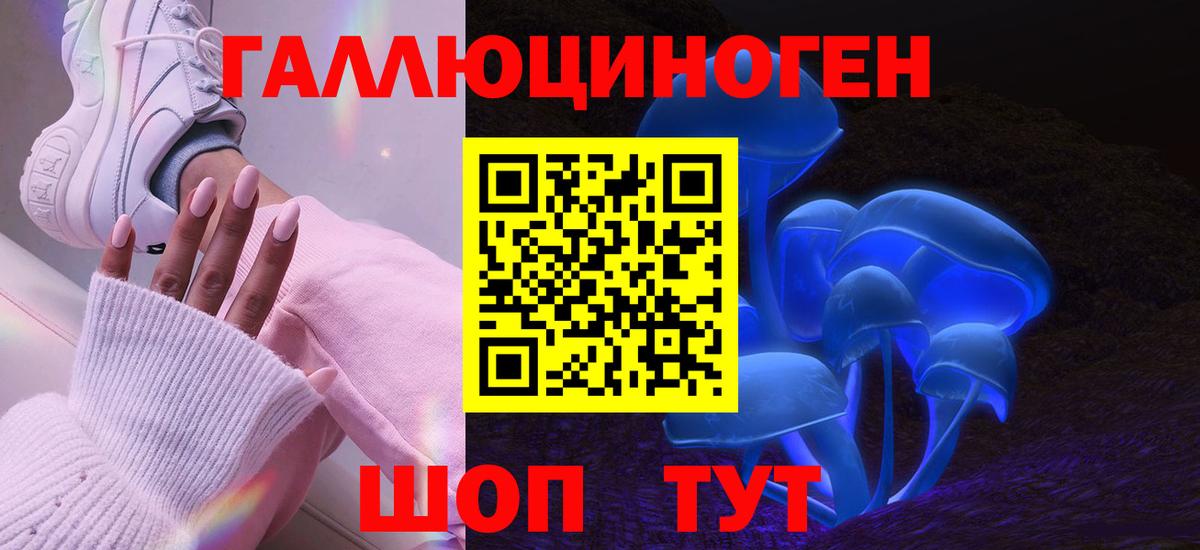 Киров  Галлюциногенные грибы GOLDEN TEACHER  Вход с VPN 